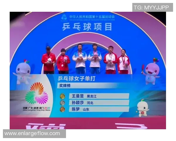 乒乓球耐力排行榜揭晓北京乒乓球队荣获第三名佳绩